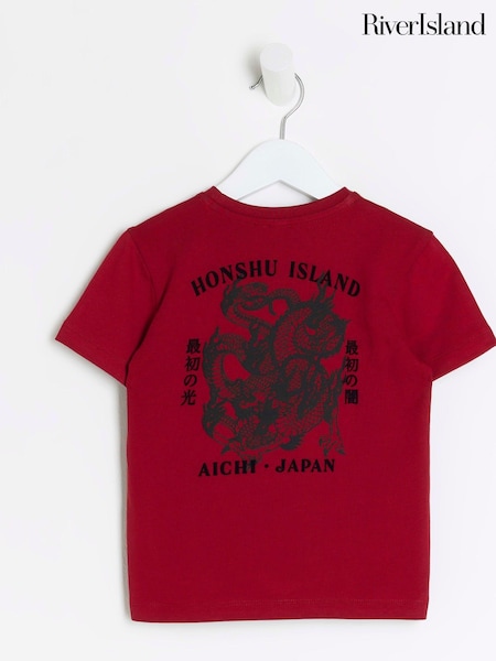 River Island Japanese Dragon Boys Back Print Graphic T-Shirt (N09233) | 36 LEI