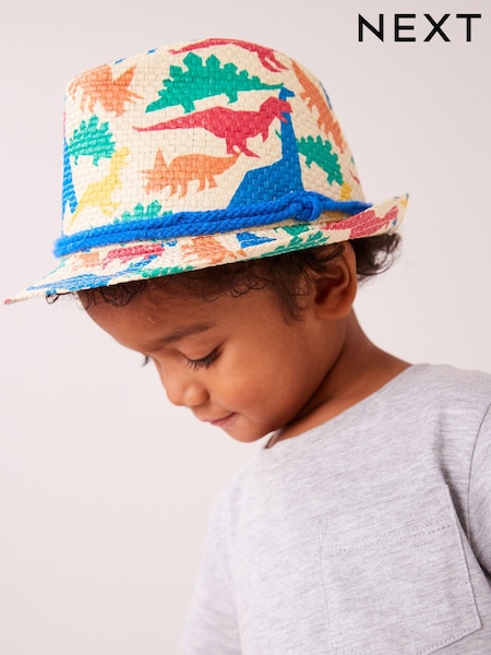 Rainbow Dinosaur Trilby Hat (1-16yrs) (N18387) | kr150 - kr184