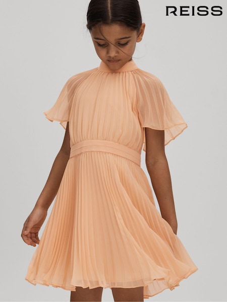 Reiss Verity Pleated Cape Sleeve Dress (N21579) | 95 €