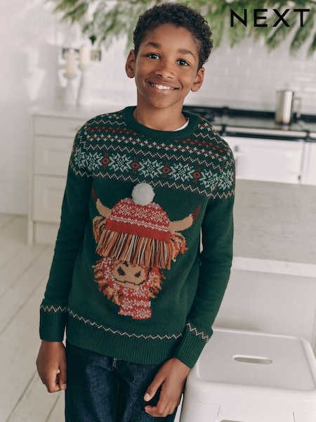 Matching Family Kids Christmas Hamish The Highland Cow Jumper (3-16yrs) (N22083) | ‏6 ر.ع.‏ - ‏7 ر.ع.‏