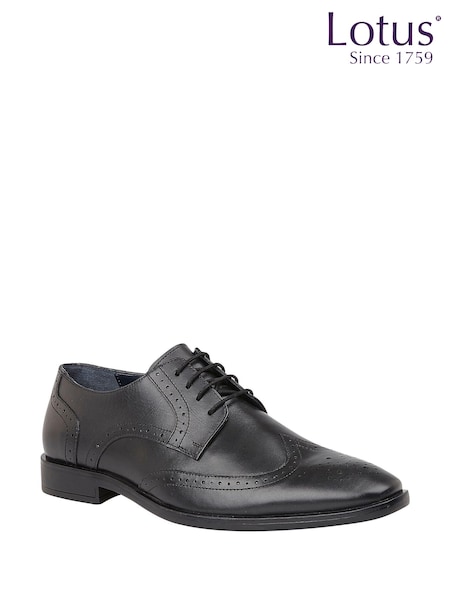 Charcole Musta - Lotus Leather Lace-up Brogues (N23384) | €79