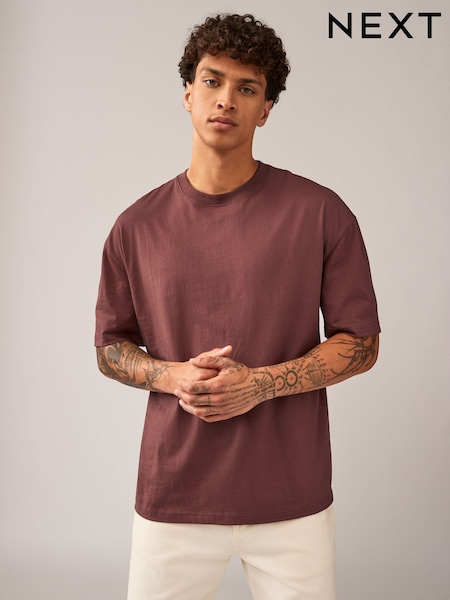Brown Relaxed Fit Essential Crew Neck Cotton T-Shirt (N24911) | €11