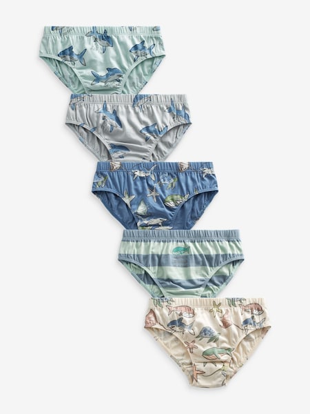 Shark Print Briefs 5 Pack (1.5-10yrs) (N34157) | AED27 - AED30