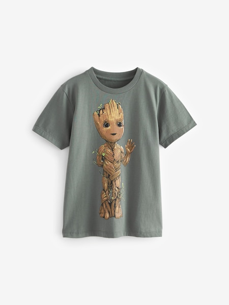 Grey 100% Cotton Licensed Guardians of the Galaxy Groot T-Shirt (3-16yrs) (N36066) | €7 - €8.50
