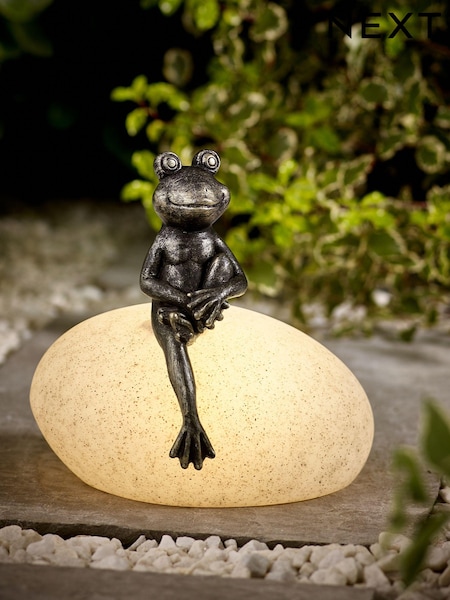 Pewter Frank the Frog Outdoor Solar Light (N39662) | €28