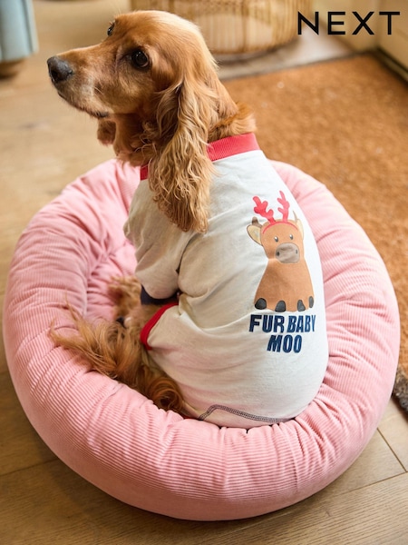 Hamish The Highland Cow Pet Pyjamas (N42293) | €9