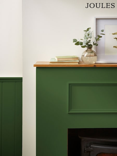 Joules Peak Green Multi Surface Matt Emulsion (N43625) | €63