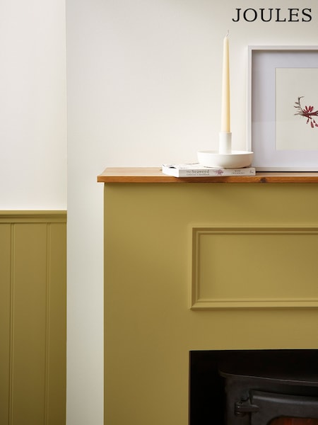 Joules Twitcher Multi Surface Matt Emulsion (N43634) | €63