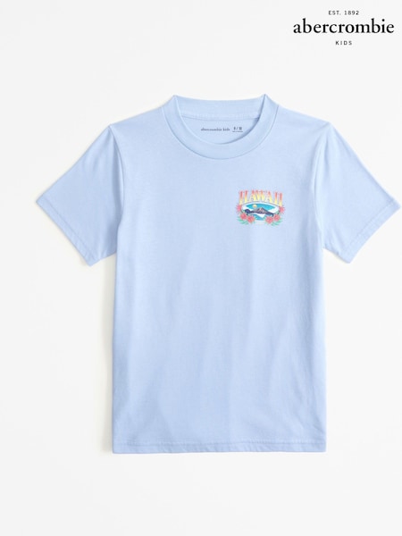Abercrombie & Fitch Blue Hawaii Back Print T-Shirt (N53686) | €12