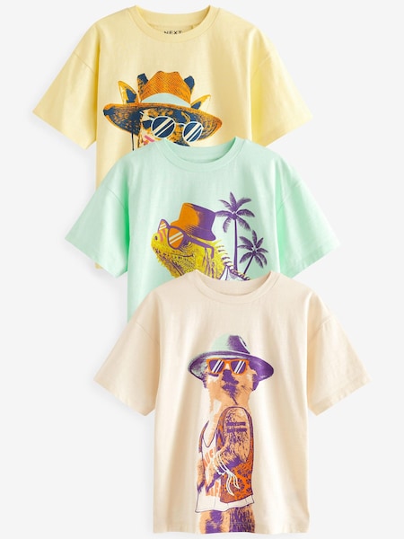 Multi Funny Animals Graphic Relaxed Fit Short Sleeve T-Shirts 3 Pack (3-16yrs) (N59467) | € 13 - € 17
