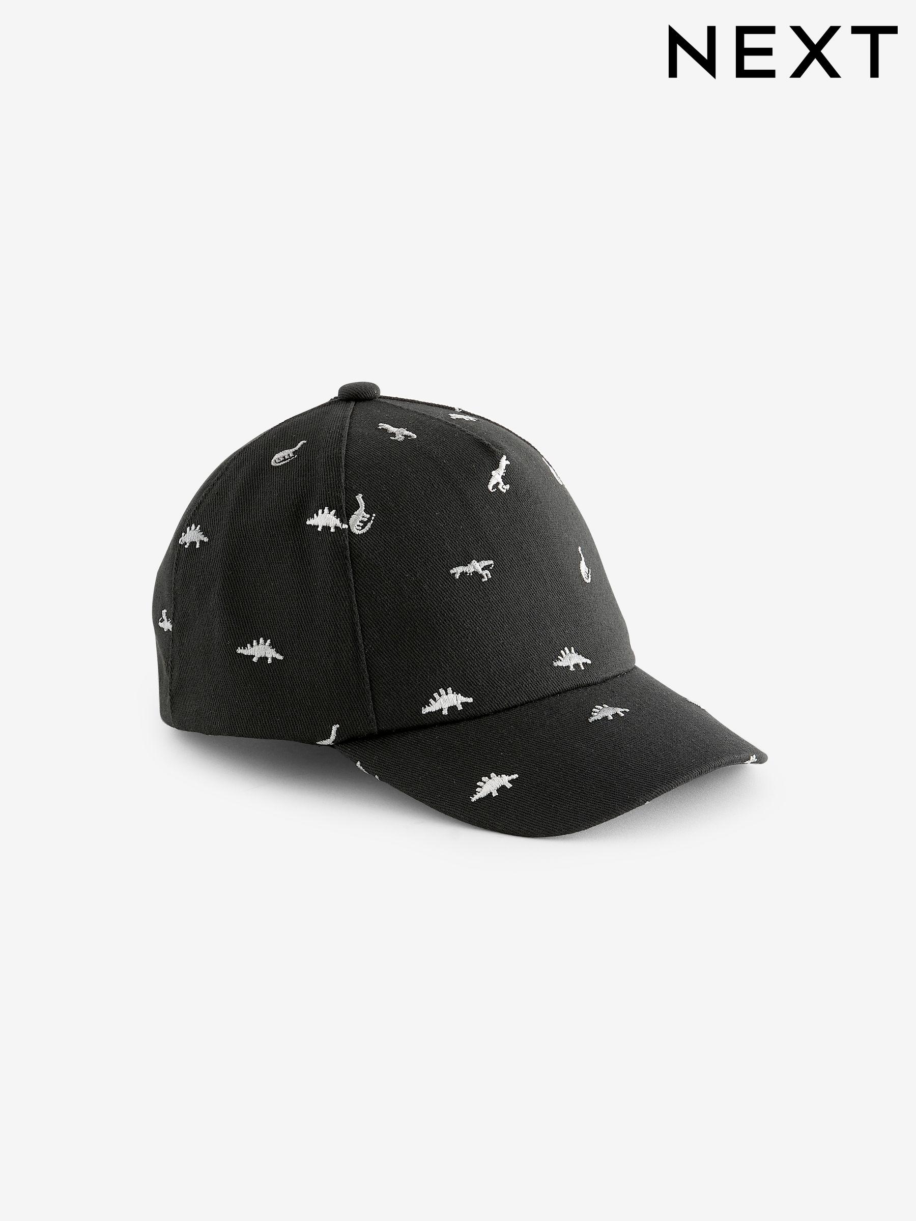 Next boys caps outlet