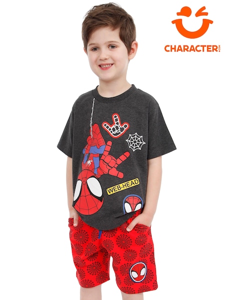 Character Spidey and His Amazing Friends T-Shirt & Shorts Set (N67748) | 1 142 грн