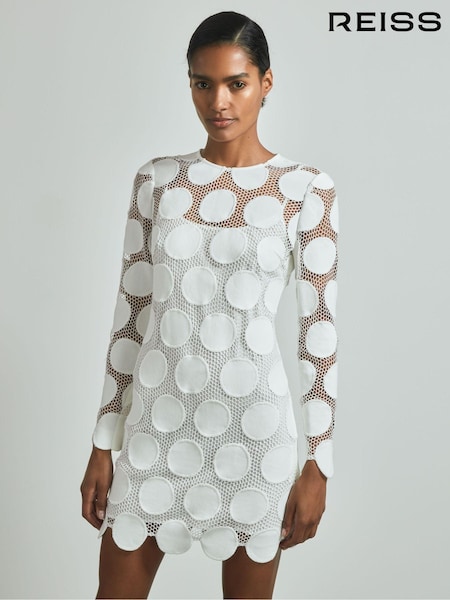 Reiss Serena Atelier Sheer Embroidered Mini Dress (N71802) | €591