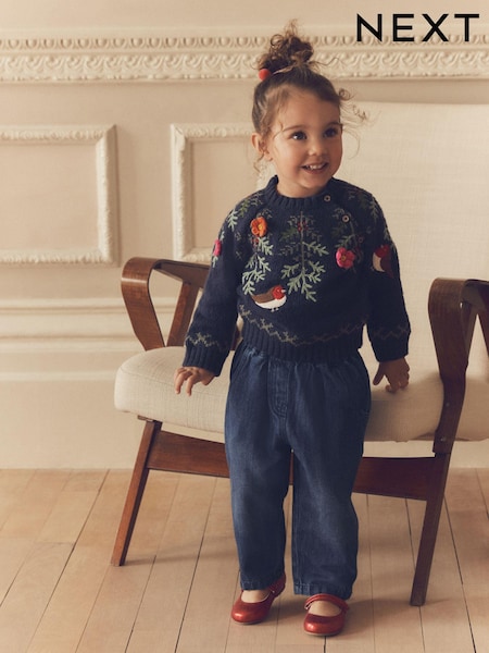 Navy Robin Christmas Jumper (3mths-7yrs) (N79932) | €12.50 - €13.50
