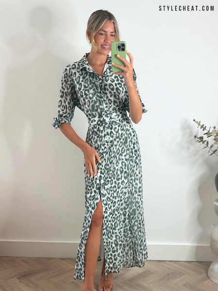Style Cheat Leopard Print Daphne Belted Shirt Dress (N95568) | €53