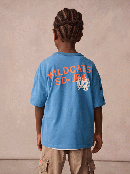 Superdry Blue Varsity T Shirt (Q63064) | 10,050 Ft - 11,300 Ft