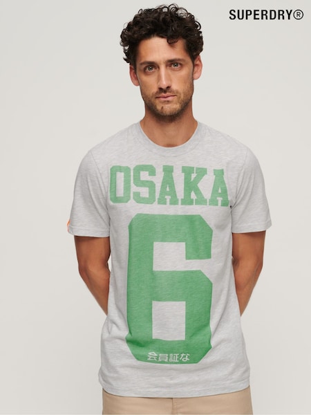 Superdry Grey Osaka 6 Marl Standard T-Shirt (Q67171) | €18.50