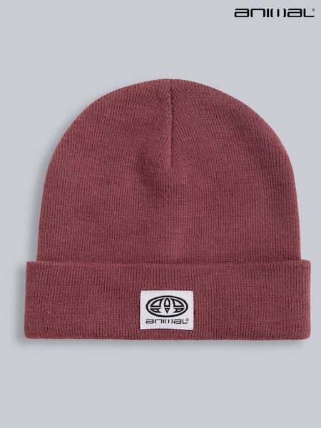 Animal Purple Womens Harley Beanie (Q69500) | AED58