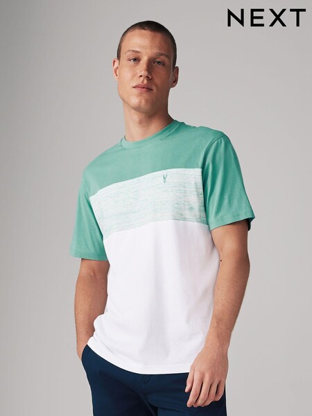 Sage Green Regular Fit Block 100% Cotton T-Shirt (Q75073) | €4