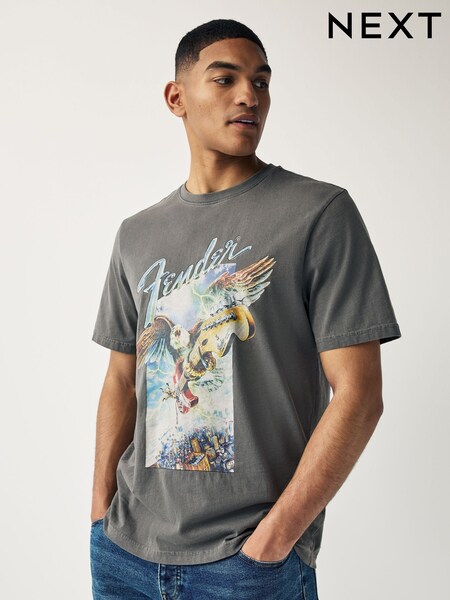 Grey Fender Regular Fit Band Graphic 100% Cotton T-Shirt (Q79295) | €5