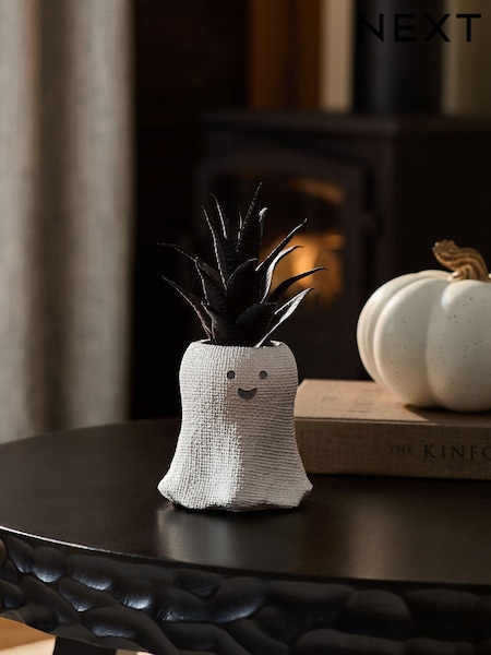 Black Artificial Mini Ghost Succulent (Q95988) | AED39