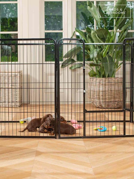 Lords and Labradors Gold 6 Panel Puppy/Dog Play Pen (Q96195) | €177