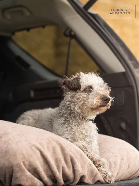 Lords and Labradors Brown Dog Drying Cushion Cover (Q96228) | € 47 - € 70