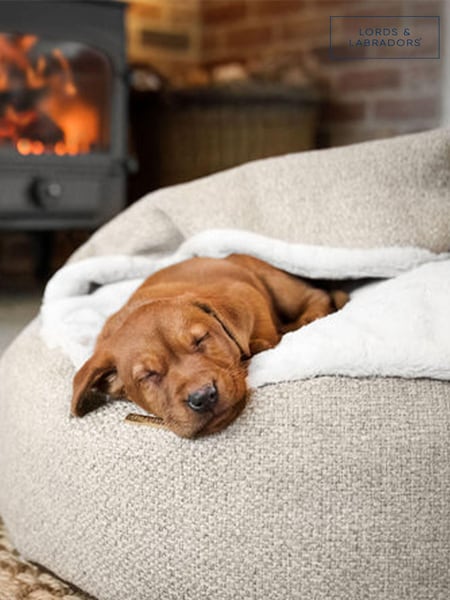 Lords and Labradors Essentials Herdwick Dog Den Bed (Q96241) | €79 - €95