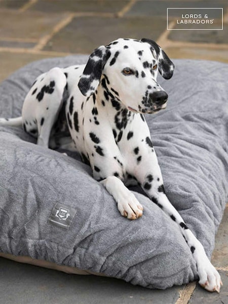 Lords and Labradors -koiran kuivaustyynyn päällinen (Q96250) | €47 - €71