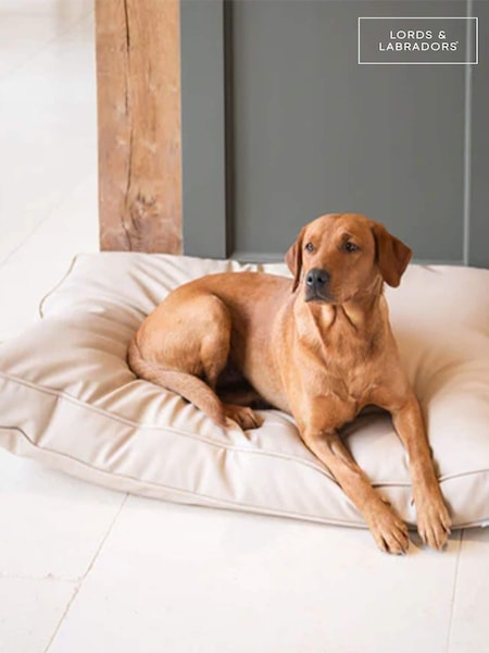 Lords and Labradors Natural Handled Dog Cushion Rhino Leather (Q96347) | € 195 - € 257