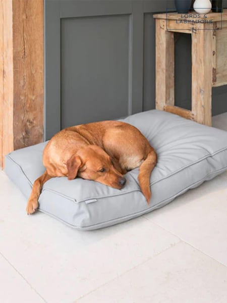 Lords and Labradors Grey Handled Dog Cushion Rhino Leather (Q96354) | €171 - €225