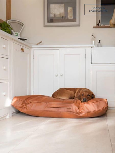 Lords and Labradors Handled Dog Cushion Rhino Leather (Q96356) | 195 € - 257 €