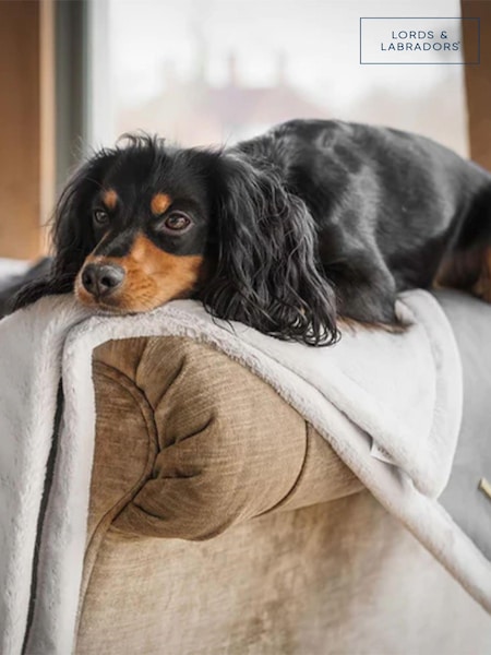 Lords and Labradors Essentials deken van keperstof met hondenprint (Q99818) | € 54