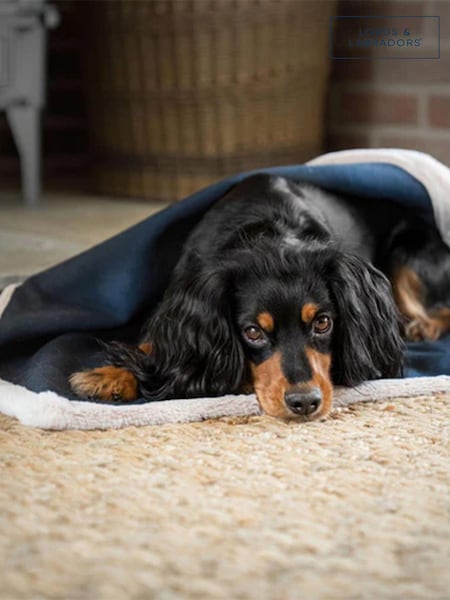 Lords and Labradors Essentials deken van keperstof met hondenprint (Q99827) | € 54
