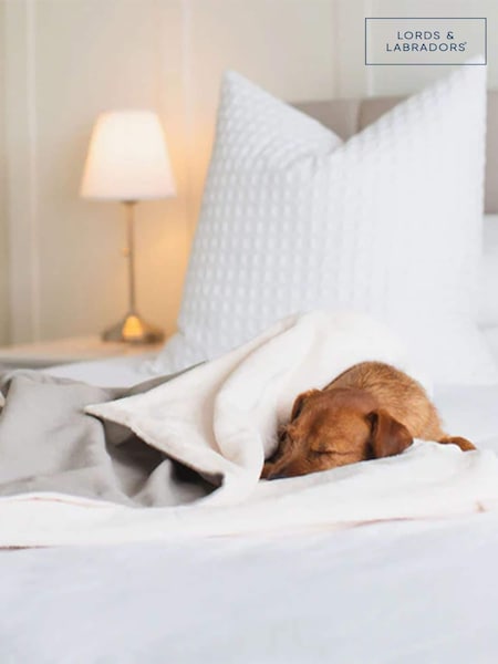 Lords and Labradors Savanna 100% Cotton Dog Blanket (Q99879) | € 54 - € 69