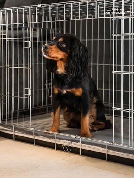 Lords and Labradors Grey Essentials Twill Dog Crate Mat (Q99896) | €37 - €61
