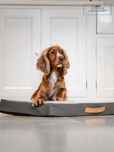 Lords and Labradors Grey Essentials Twill Orthopaedic Dog Mattress (Q99898) | €81 - €108