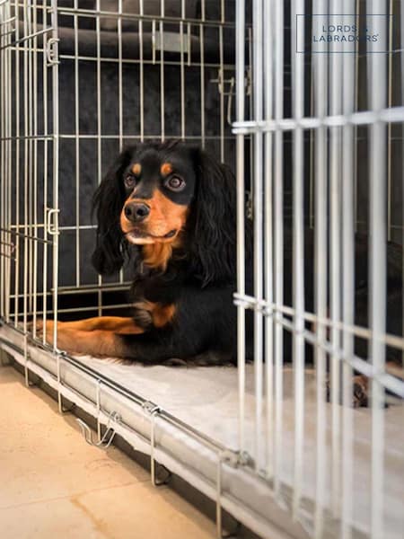 Lords and Labradors Natural Essentials Twill Dog Crate Mat (Q99906) | €37 - €61