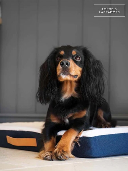 Lords and Labradors Blue Essentials Twill Orthopaedic Dog Mattress (Q99978) | € 94 - € 125