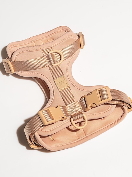 Wild One Tan Brown Tan Harness (T15679) | €31