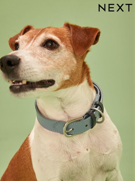 Blue Leather Dog Collar (T67405) | €5 - €6