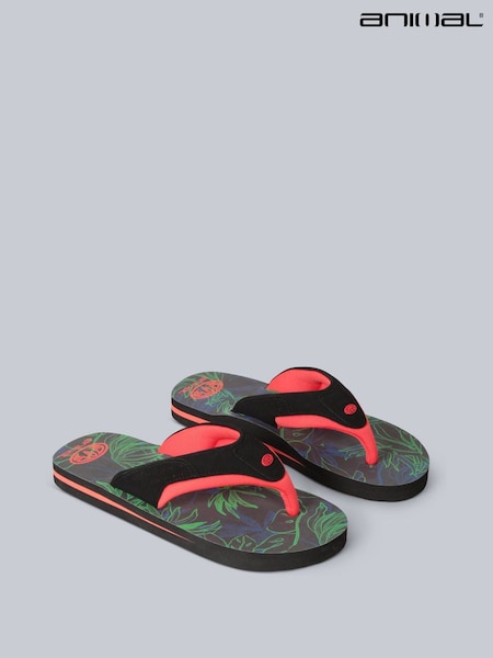 Animal Black Dark Kids Jekyl Flip-Flops (T97463) | €28