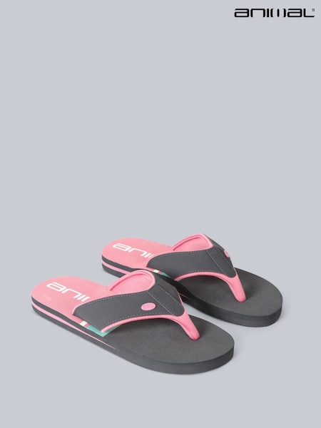 Animal Grey Womens Swish Flip Flops (T97477) | €36