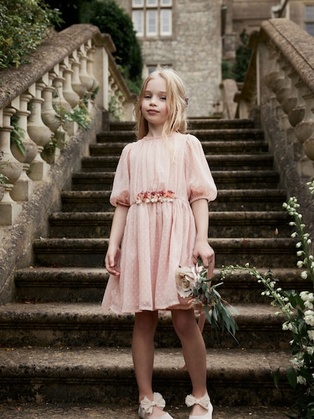 Pink Chiffon Corsage Dress (3-16yrs) (U08256) | €16 - €20