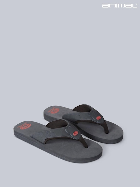 Animal Mens Jekyl Flip-flops (U52678) | ‏161‏₪