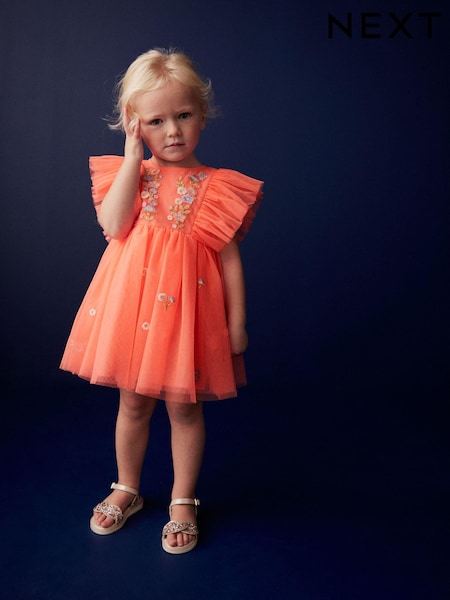 Coral Pink Embroidered Mesh Party Dress (3mths-10yrs) (U78252) | €17 - €22