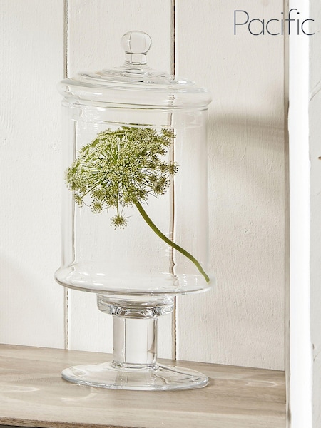 Pacific Verona Clear Glass Large Decorative Jar with Lid (U81542) | €54