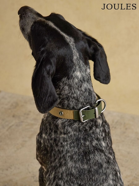 Joules Khaki Green Pet Collar (V11821) | €24 - €29