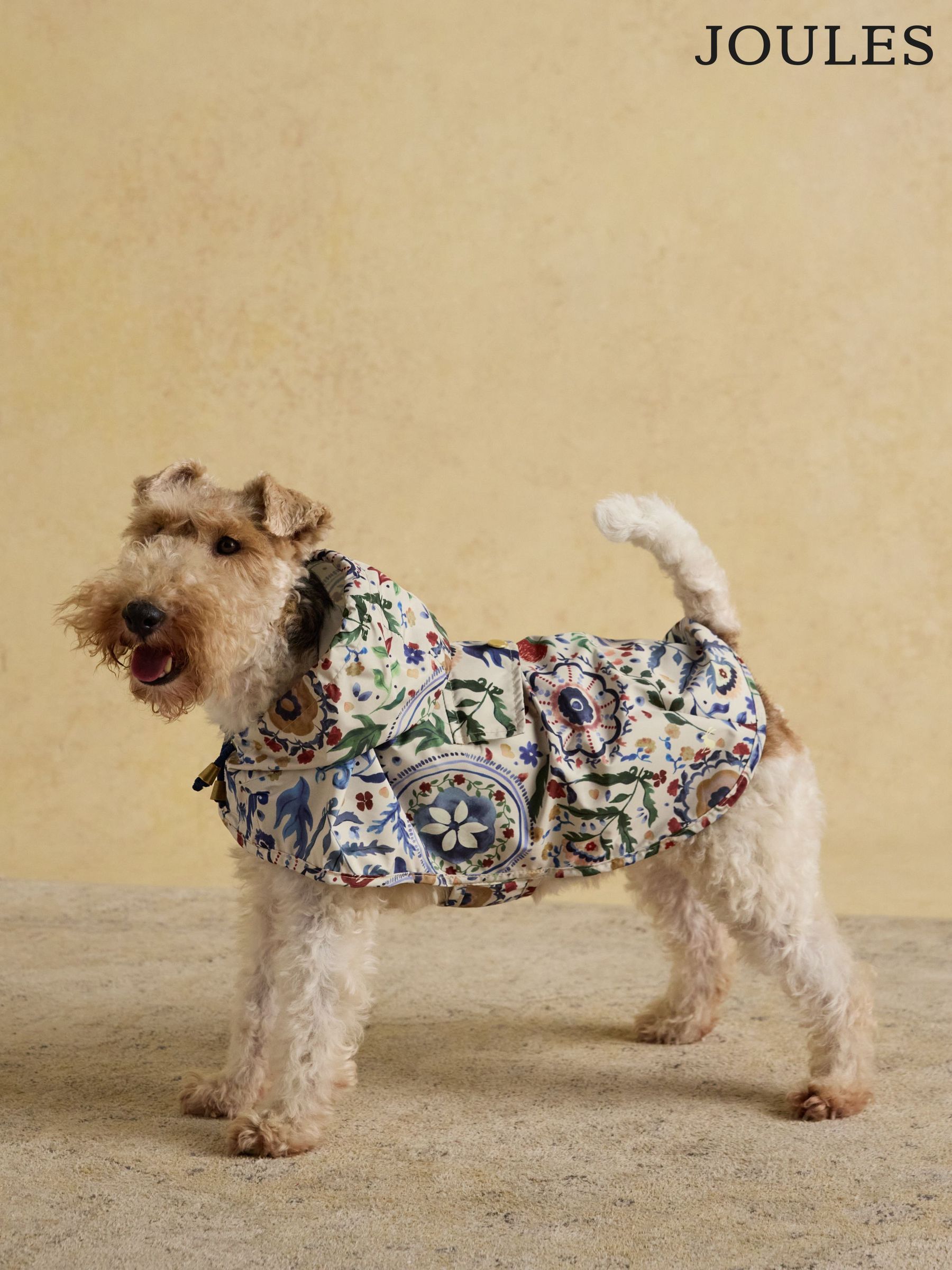 Pet Accessories | Dog & Cat Accessories | Next Romania
