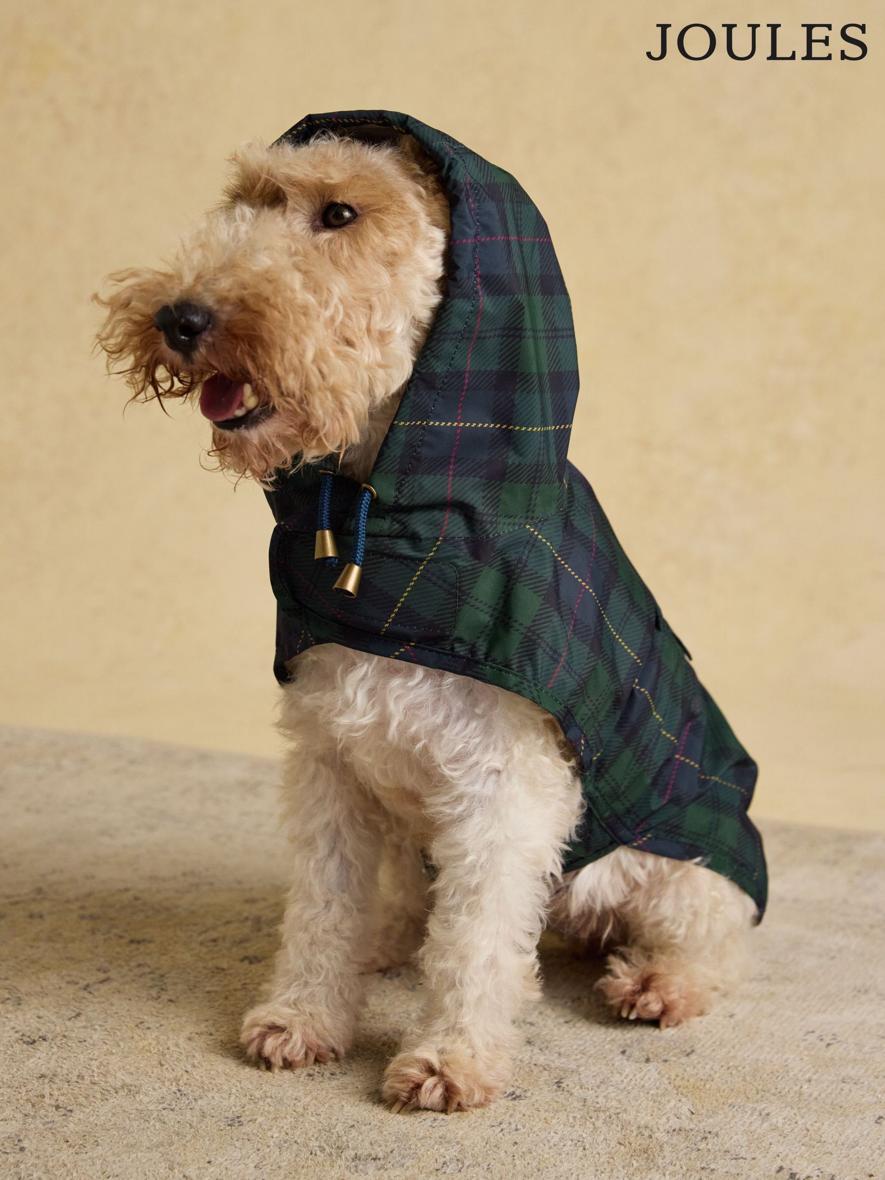 Pet Accessories | Dog & Cat Accessories | Next Romania